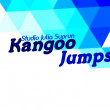 Студия Kangoo Jumps Юлии Супрун в Долгопрудном 17.08.17