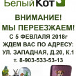 Ветеринарная клиника Белый Кот в Электростали 10.02.18