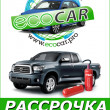 Ecocar в Казани 02.02.17