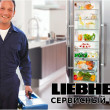 Сервисный центр Liebherr plus в Москве 24.01.19