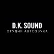 D. K. Sound в Саратове 04.02.20